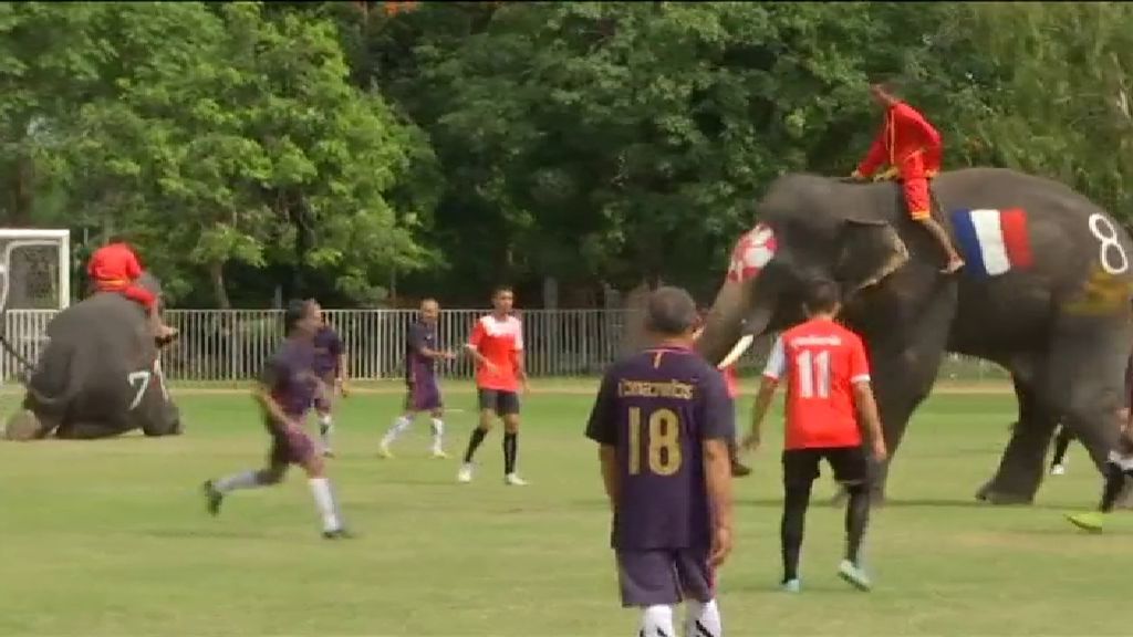 Hombres contra elefantes, un partido de fútbol contra las apuestas ilegales en Asia