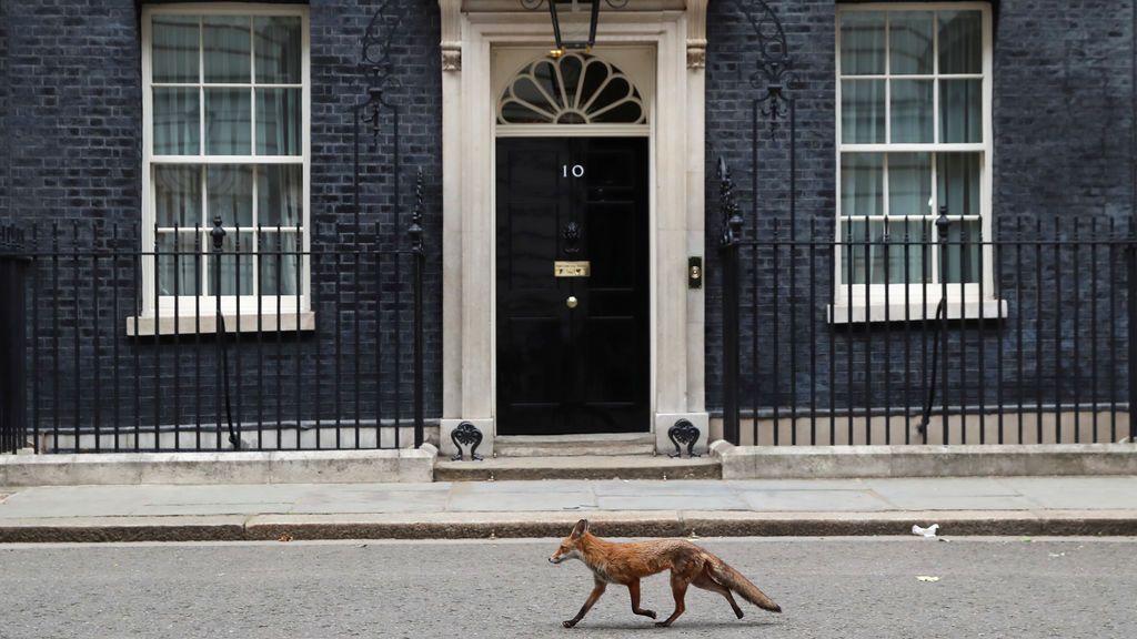 Inusual imagen de Downing Street en Londres