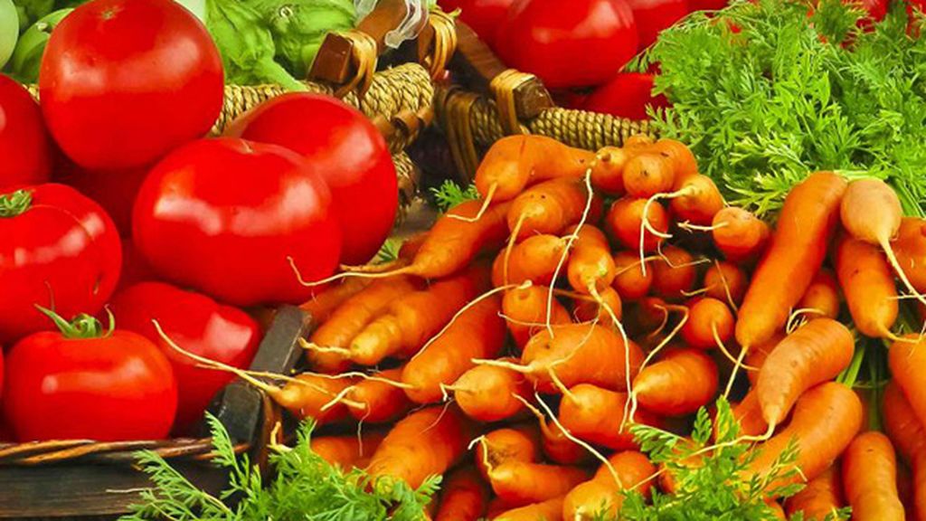 03-alimentos