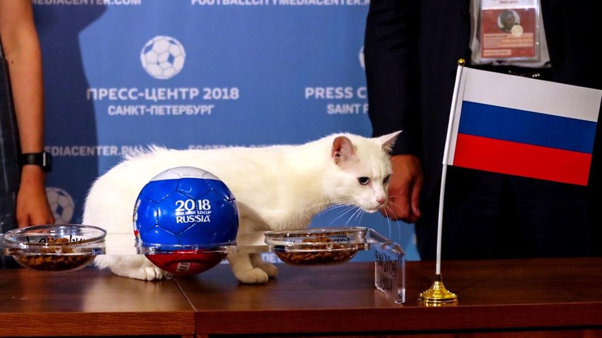 Del pulpo 'Paul', al gato Aquiles: así pronostica los resultados del Mundial