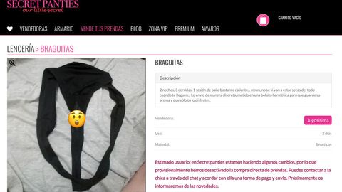 agrio gato Molesto La compraventa de bragas usadas en internet triunfa en España: "Las chicas  ganan 700 euros al mes"