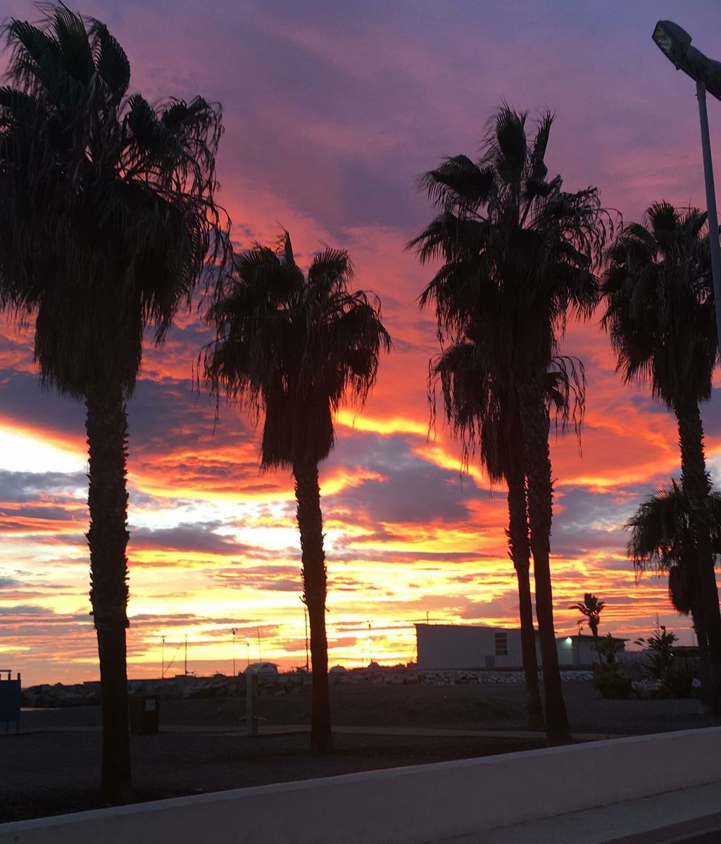 Sarina Hayon en Málaga