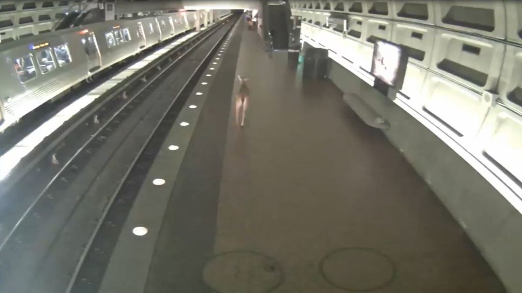 Pasajeros, trenes y un ciervo en el metro de Washington DC