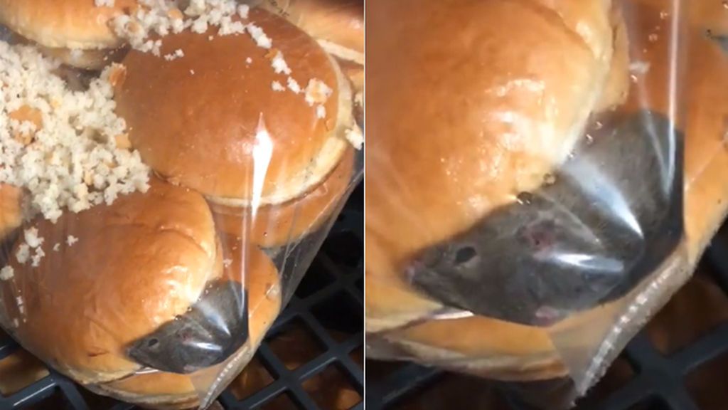 “No comáis aquí”: Encuentra un ratón vivo entre el pan de las hamburguesas