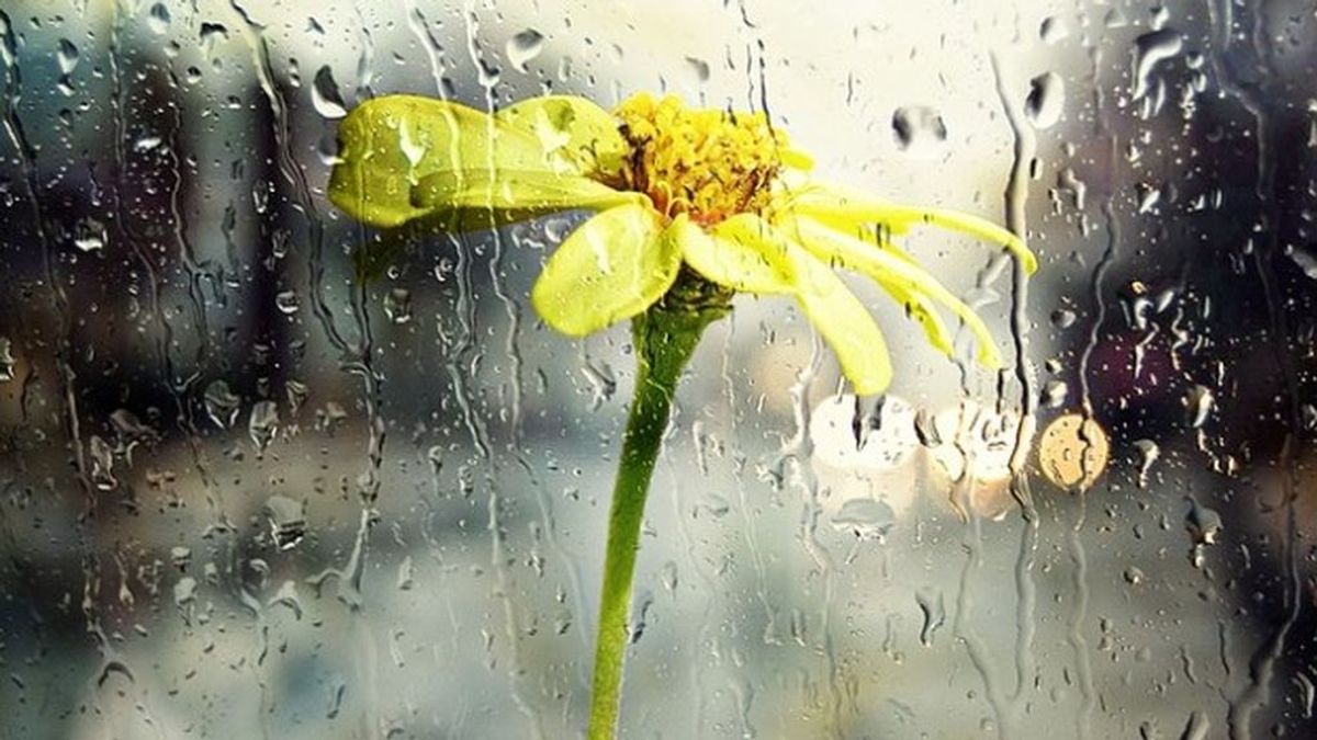 La vida tras sufrir un ictus: este relato cambiará tu percepción de la lluvia