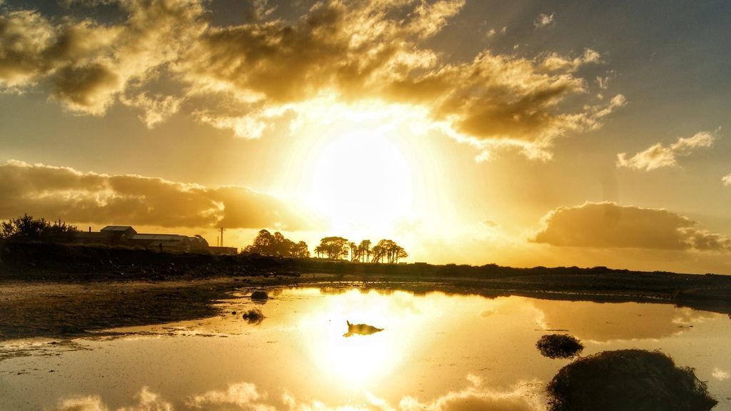 Laly Rodríguez Rodríguez en Santa Lucía de Tirajana, Gran Canaria