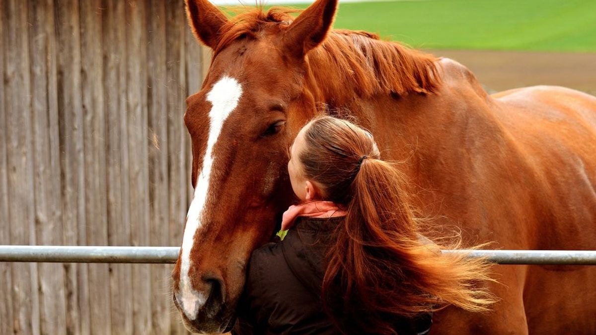 Los caballos comprenden nuestras emociones y nuestras expresiones faciales