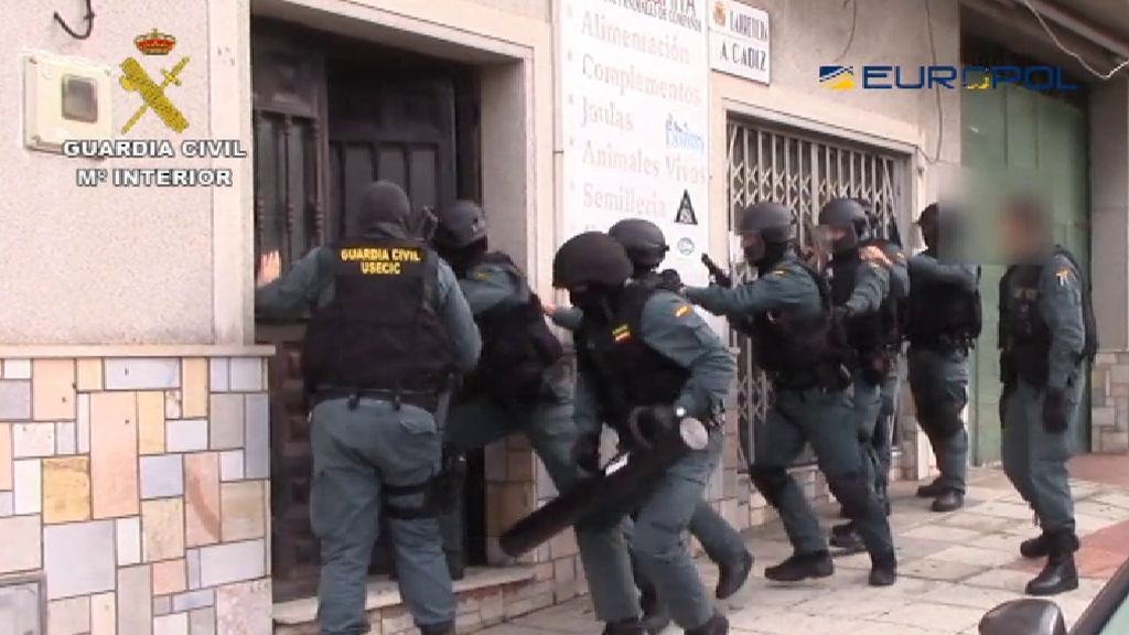 La Guardia Civil incauta 3.000 kilos de angulas y detiene a 45 personas