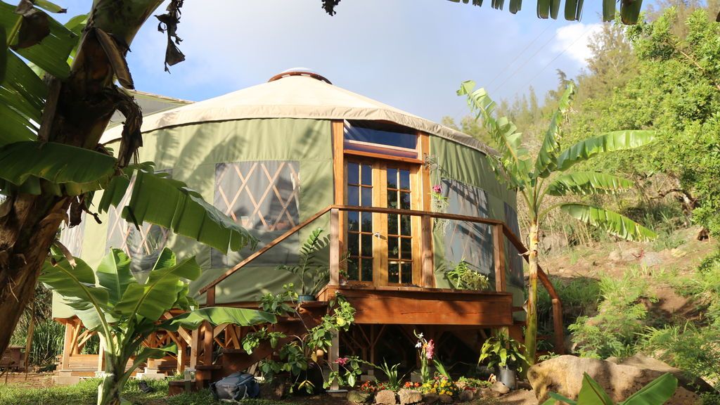 'Supercasas ecológicas'