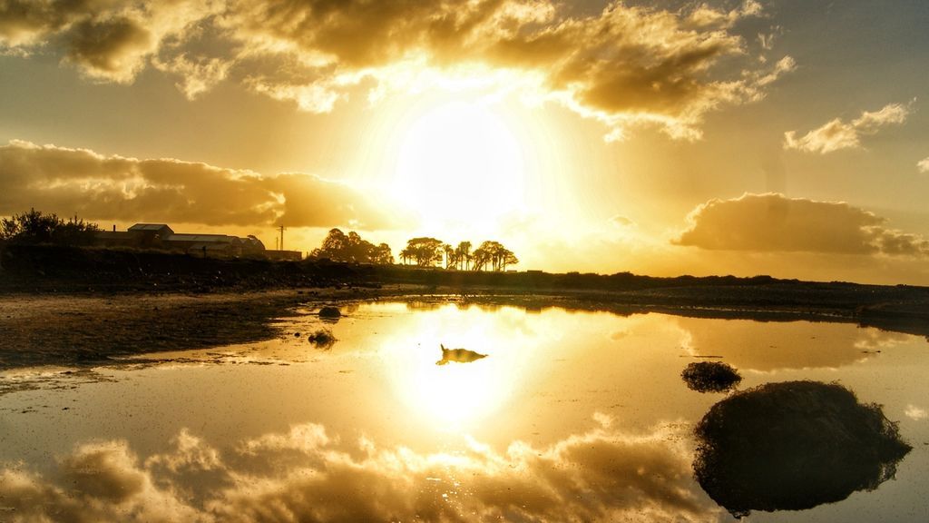 Laly Rodríguez Rodríguez en Santa Lucía de Tirajana, Gran Canaria