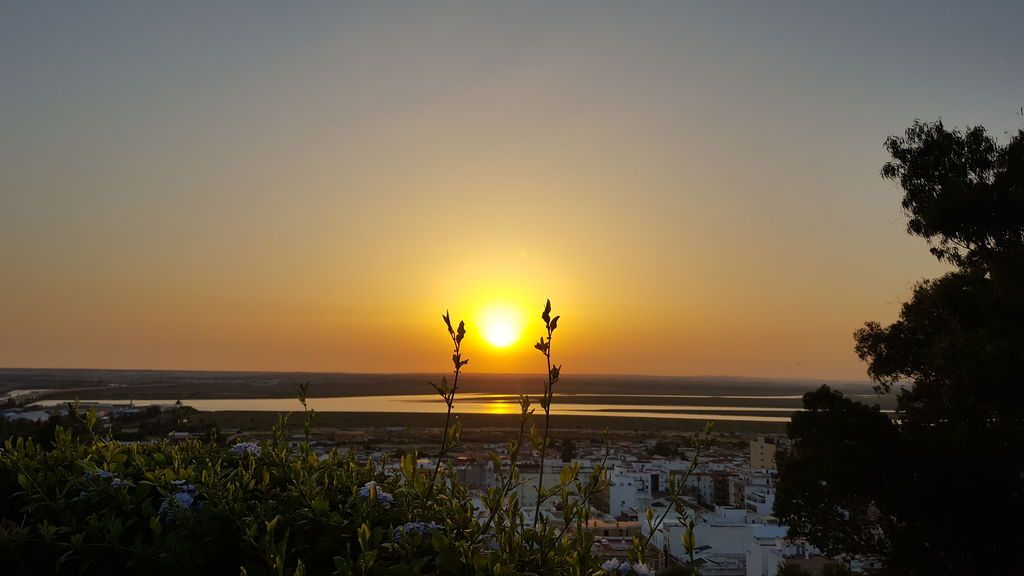 Soco Alfonso en Huelva