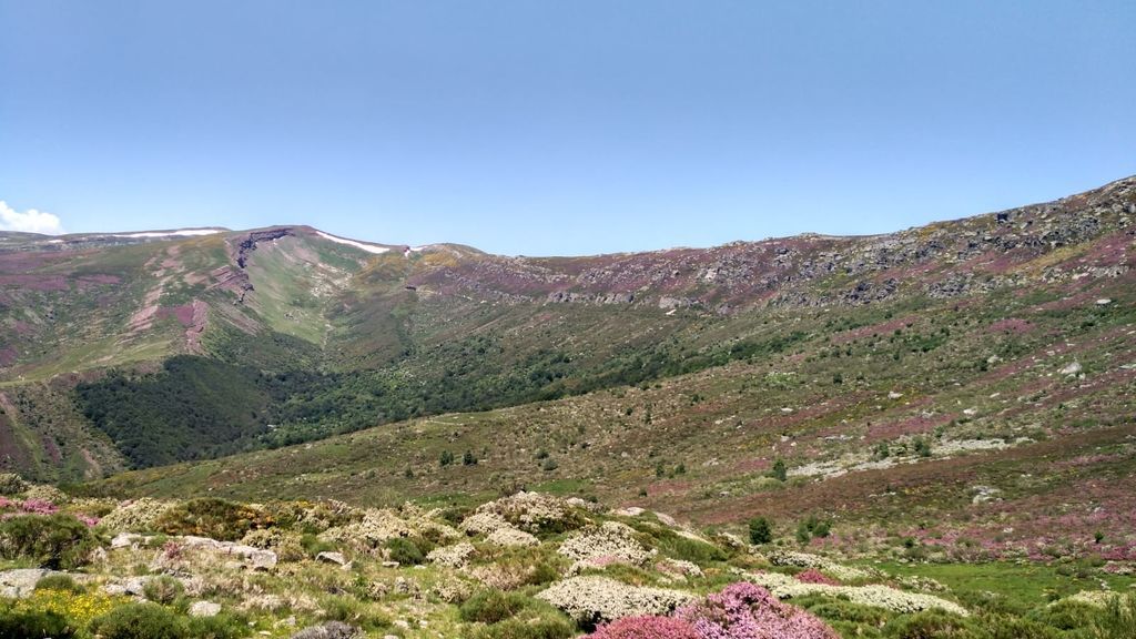 Puscas García en Barruelo de Santullán, Palencia