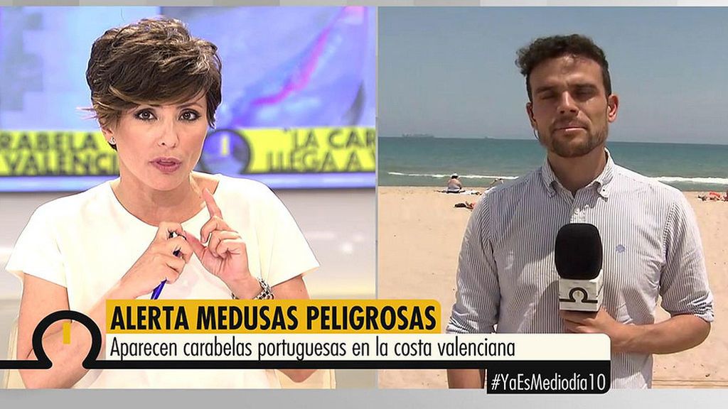 ¡Alerta medusas peligrosas! Aparece una carabela portuguesa en la playa de El Saler
