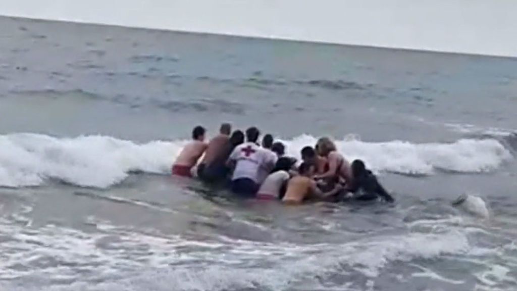 Un grupo de socorristas salva a un ballena varada en la playa de Zarautz