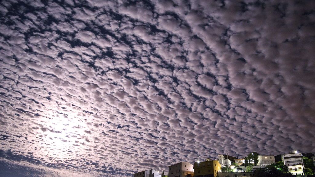 Amanda Fortes Gallegoen Los Romanes, Málaga