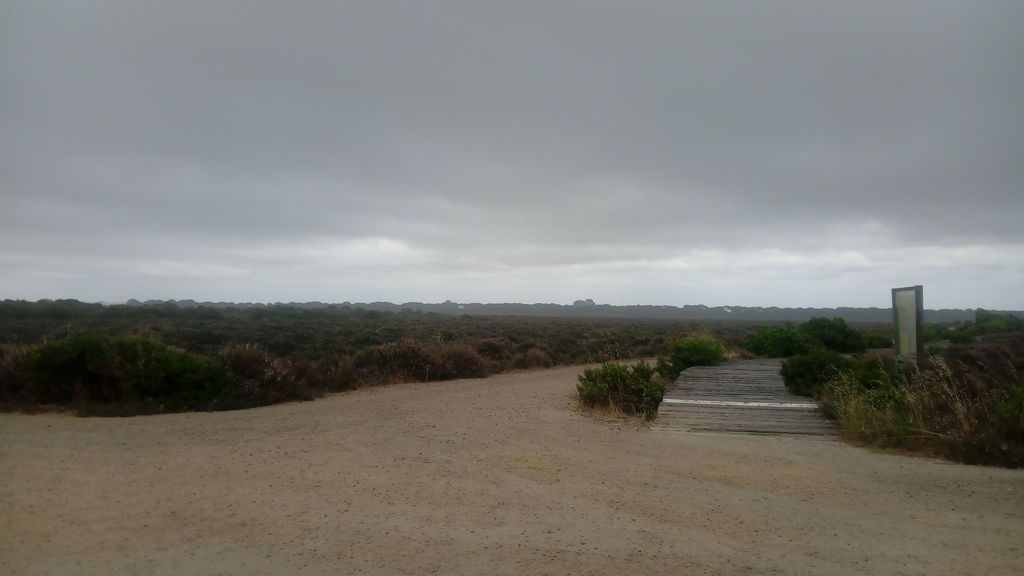 David Fernández en El Puerto de Santa María, Cádiz