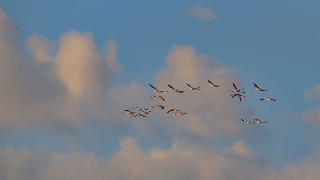 José Otero Zaldívar en Cádiz