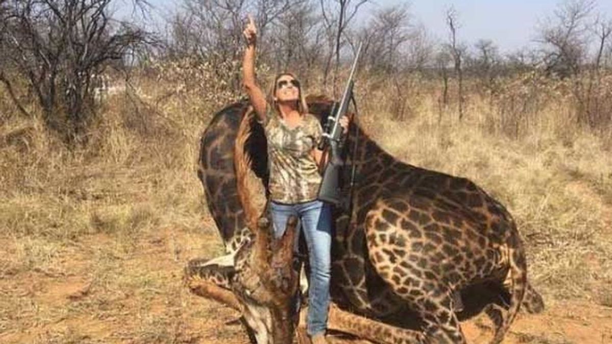 La Red se enciende por su foto con su trofeo de caza, una jirafa negra