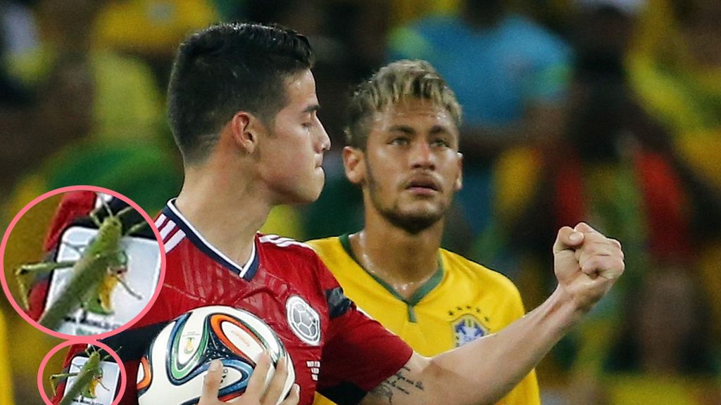 El saltamontes que celebró el gol de James hace 4 años