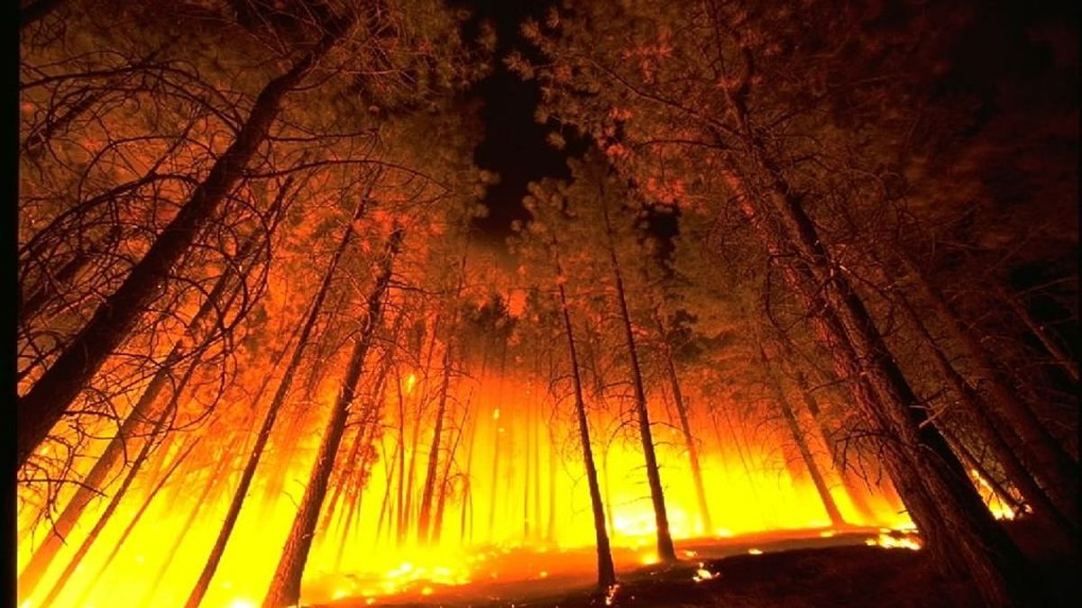 El riesgo de incendios mundial puede predecirse gracias a un nuevo modelo de la NASA