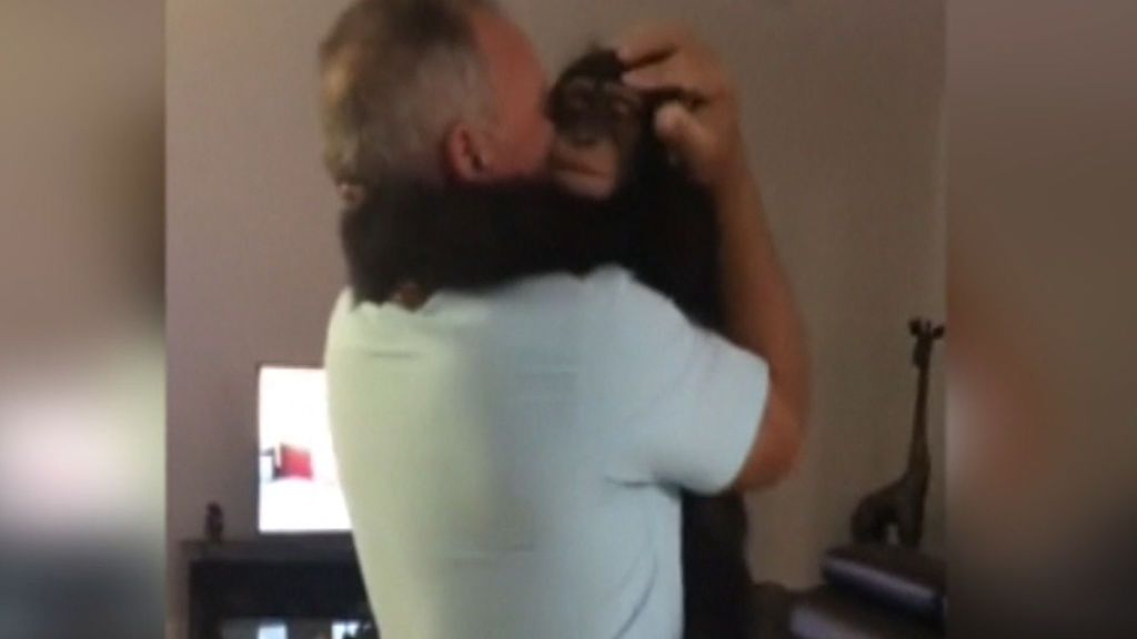 Sorprendente reacción de un chimpancé al reencontrarse con su 'padre' humano