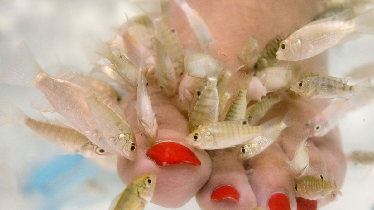 Una mujer pierde las uñas después de someterse a una pedicura de peces