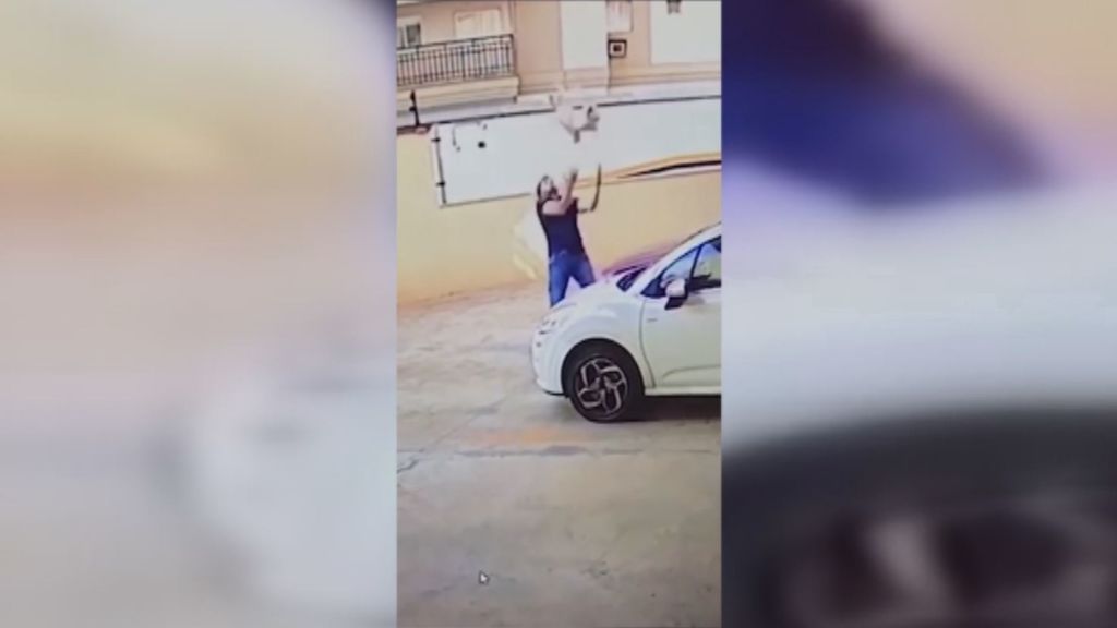 Héroe en Brasil: un hombre coge al vuelo a un perro que ha caído de un noveno piso