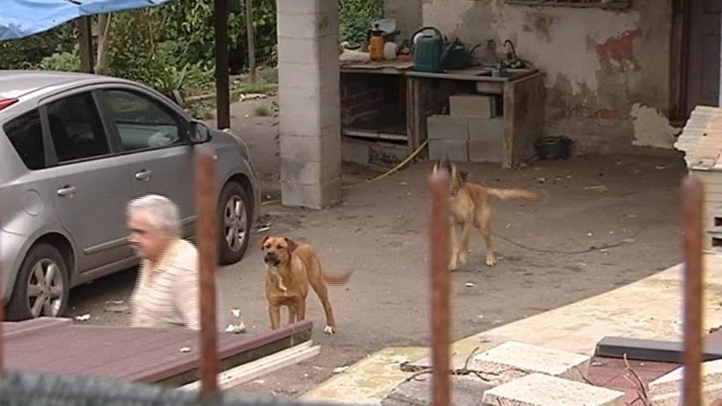 Muere un anciano de 87 años atacado por varios perros cuando entraba en la finca de un amigo