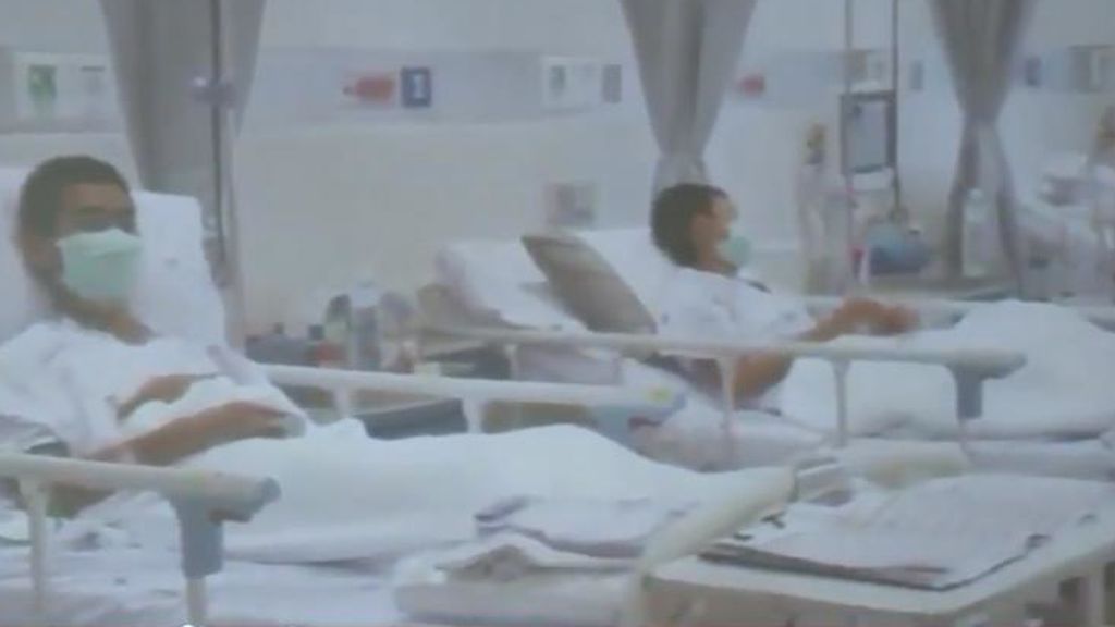 Los 13 "jabalíes salvajes" permanecen aislados en el hospital