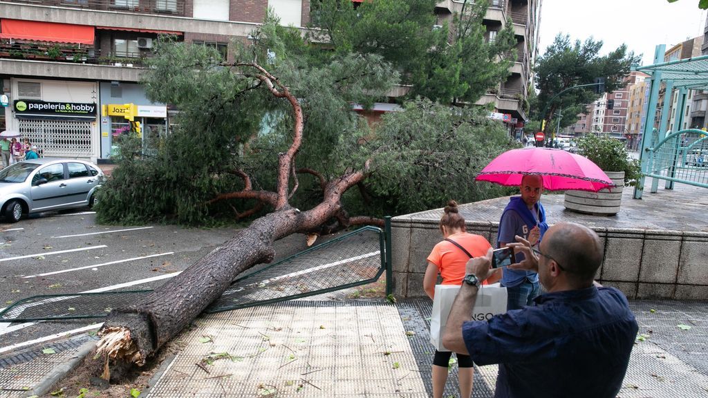 Una tromba de agua en Zaragoza deja el tranvía parado,  calles cortadas y árboles caídos