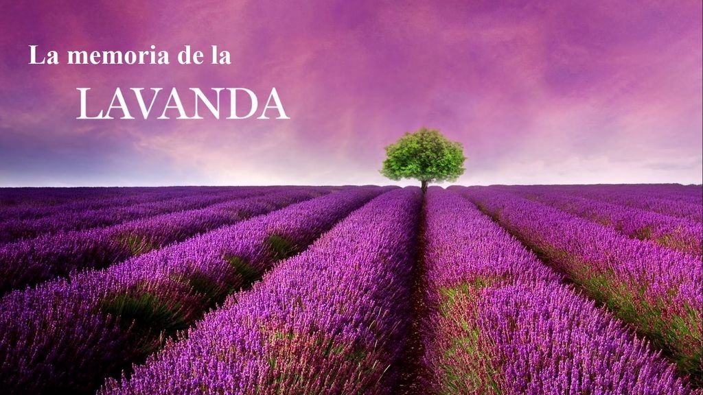 La memoria de la lavanda, de Reyes Monforte