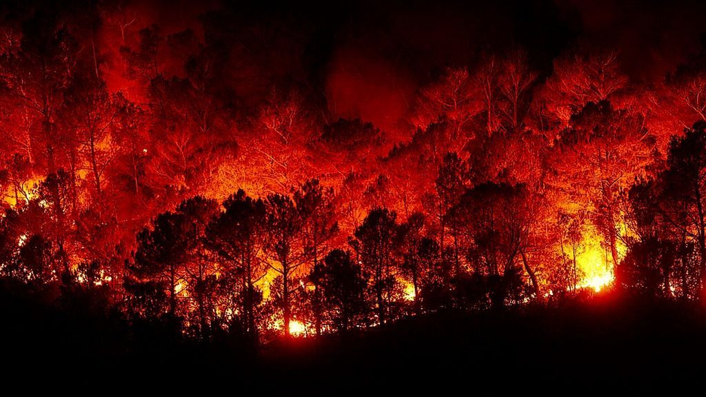 incendios forestales