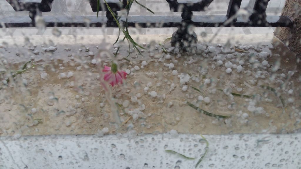 Raquel Mariaca Madina en Vitoria