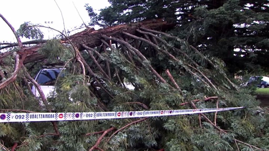 Cinco personas resultan heridas tras caerles encima una rama de árbol en Pamplona