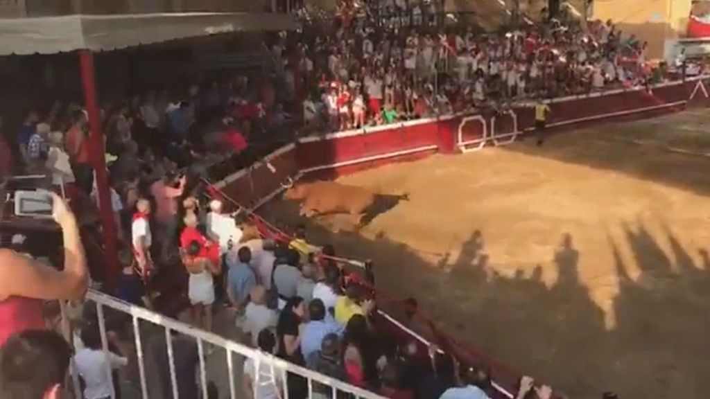 Seis heridos al saltar una vaca sobre el público en la plaza de Cadreita, Navarra