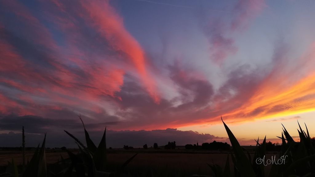 Ana María Herrero Rodríguez en Cantalpino, Salamanca
