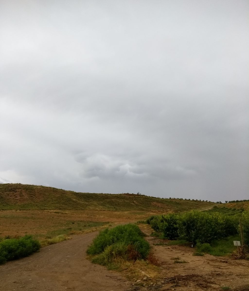 Lola Fernández Villacañas en Corella, Navarra