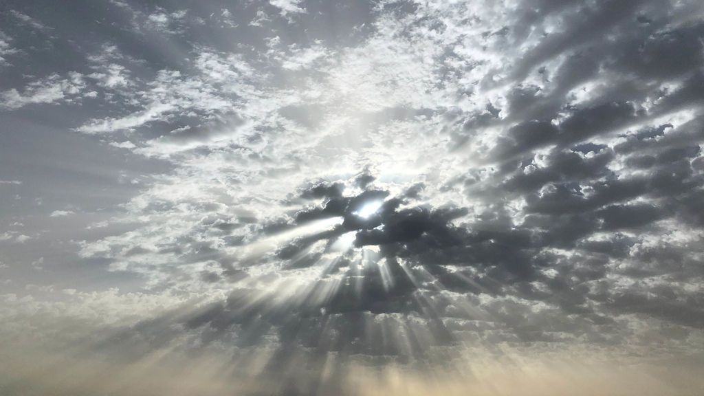 Llanos Canales Cepeda en Albacete