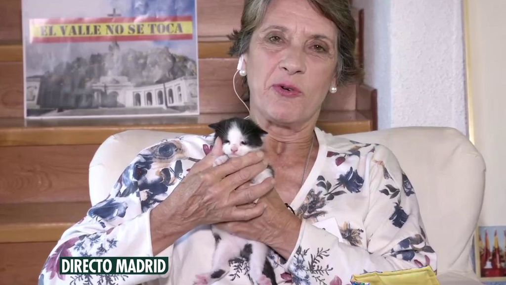 Pilar Gutiérrez trae un gatito a ‘Ya es mediodía’ y lo bautiza como “Claudillo”