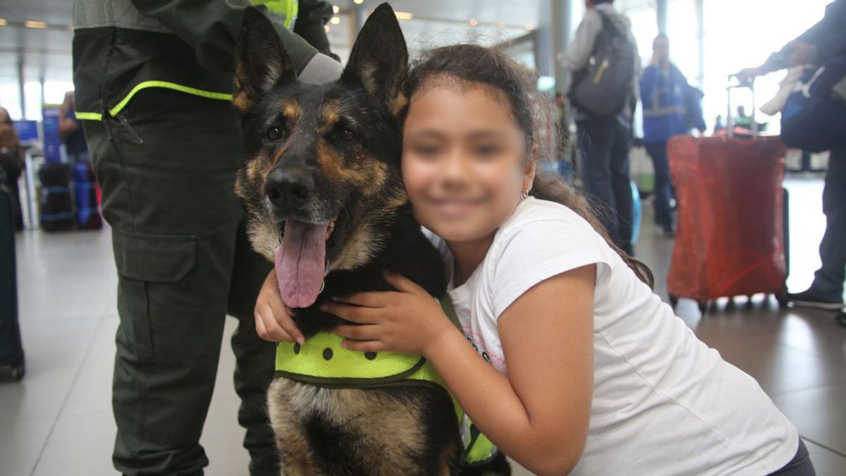 Sombra, la perra policía que un clan de la droga colombiano ha amenazado de muerte