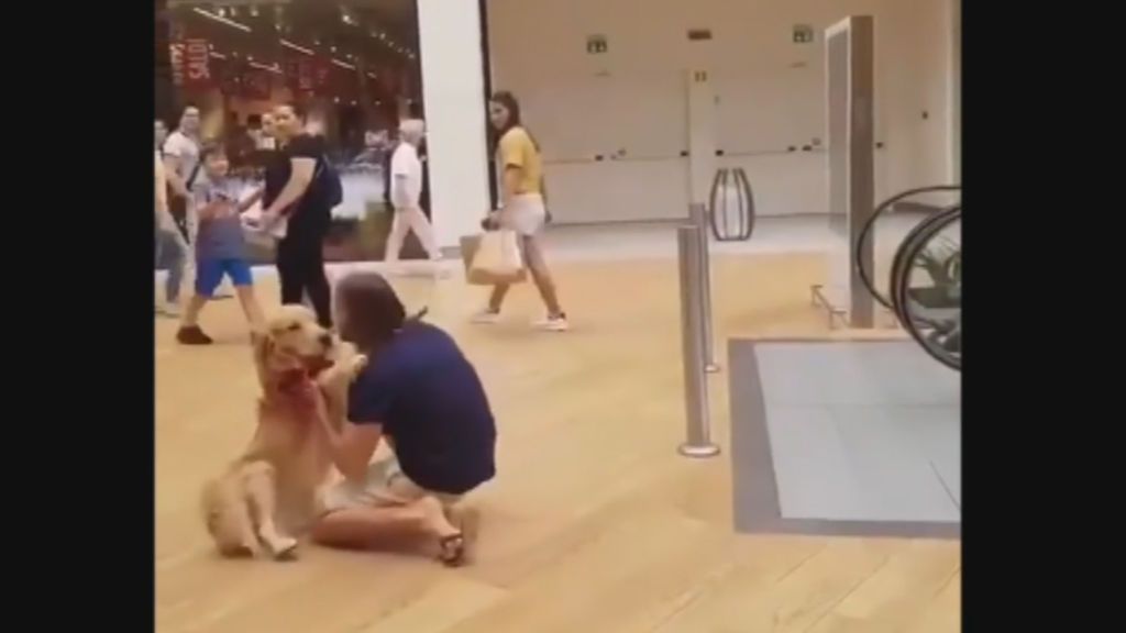 La tierna reacción de un hombre con su perro atemorizado