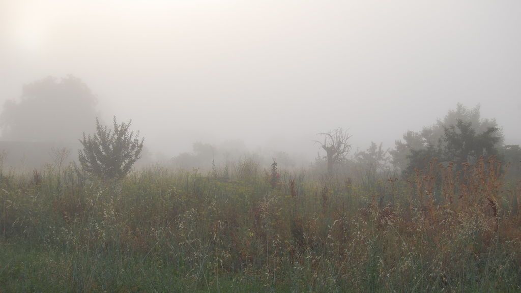 Mª Concepción Pérez Blanco en San Pedro de Ceque, Zamora