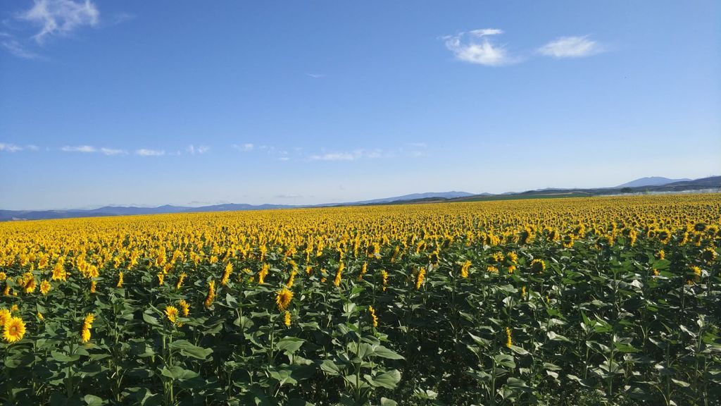 Blanca Conde Gómez en Artajona, Navarra
