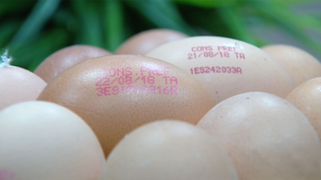 ¿Sabes interpretar el código que aparece impreso en los huevos que compras?