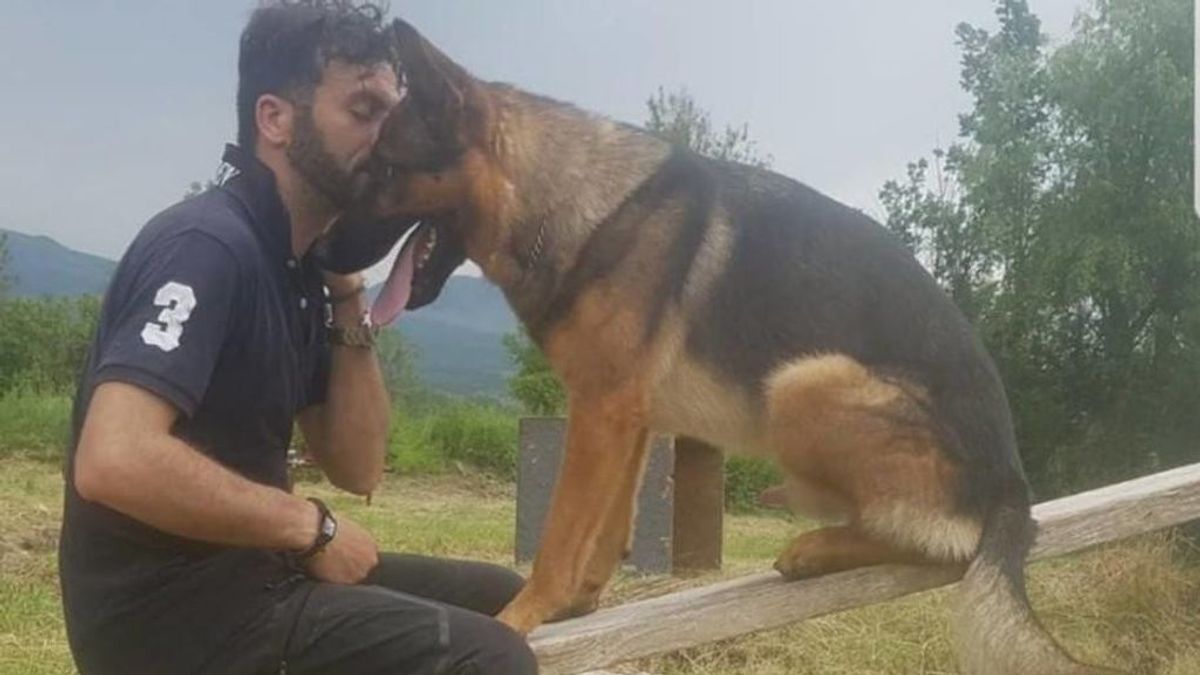 Kaos, el perro héroe de Italia, muere envenenado: "los responsables van a pagarlo"