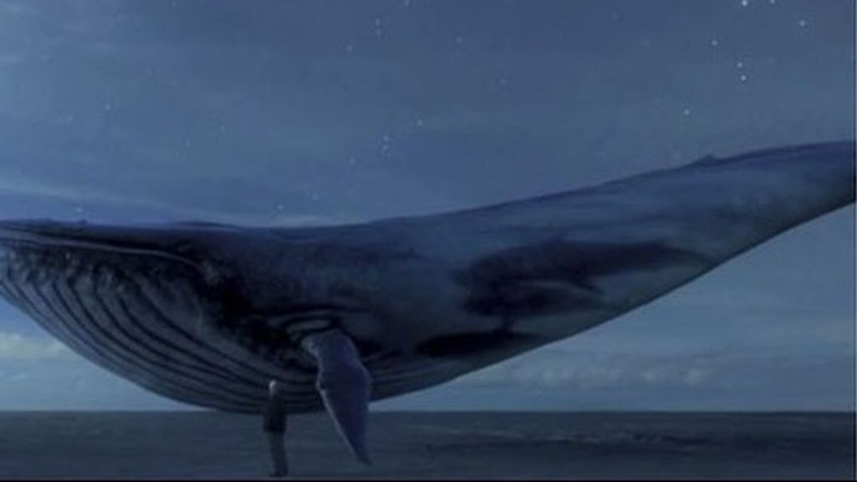 El juego 'la ballena azul'