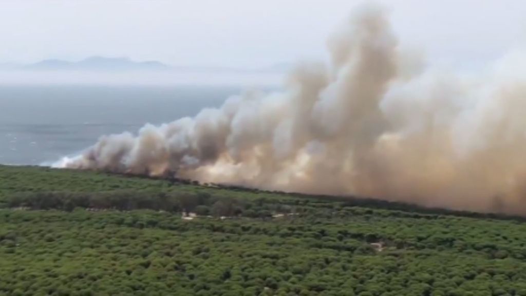 Los bomberos dan por estabilizado un incendio declarado junto a la playa de Bolonia