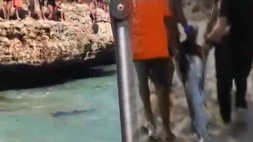 Evacuada una playa de Mallorca por un tiburón de más 2 metros de largo