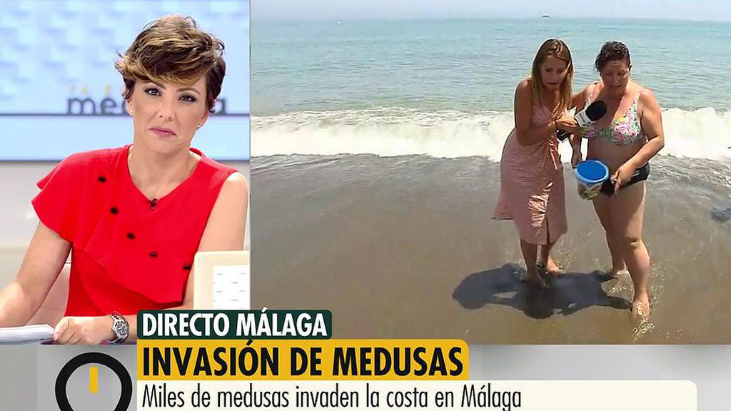 Miles de medusas invaden la costa de Málaga: vivimos una jornada con una familia
