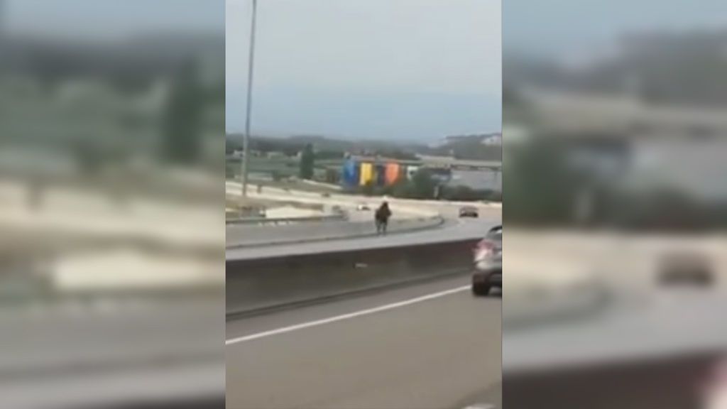 Un caballo galopa en dirección contraria en la C-17 de Barcelona y causa un accidente